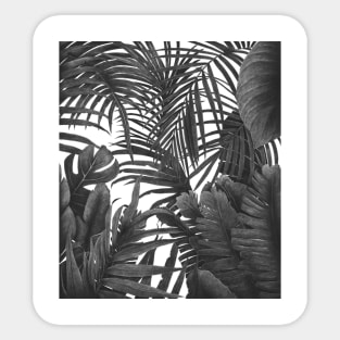 Tropical jungle Sticker